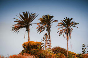 Fuerteventura_23_06_II