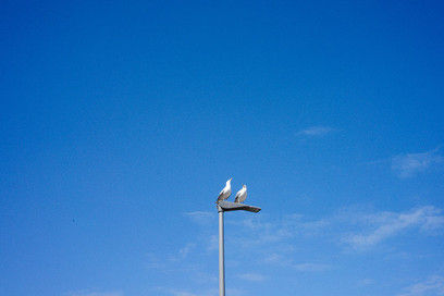 Heiligenhafen II-clarks14.jpg
