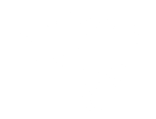 Flying-Squirrel_T-Shirt-Design_2018.png