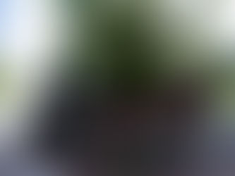 8/20「祭太郎と一緒に巡るドギマギ札幌国際芸術祭ツアー」