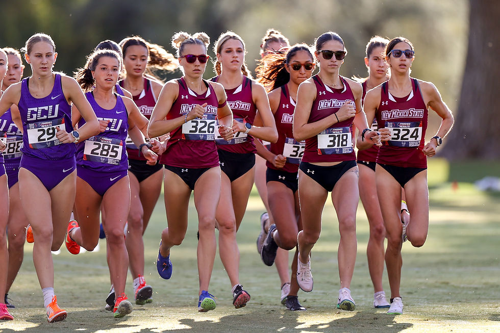 New Mexico State XC