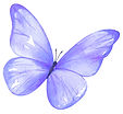 Logo aktuell (6)_edited.jpg