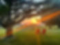 5BF171B3-B08E-4534-A7BF-F889A90C87E2.JPG