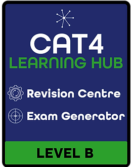 CAT4 LEARNING HUB B.png