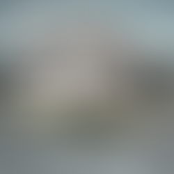 What is a Leaseback and how can it benefit you?