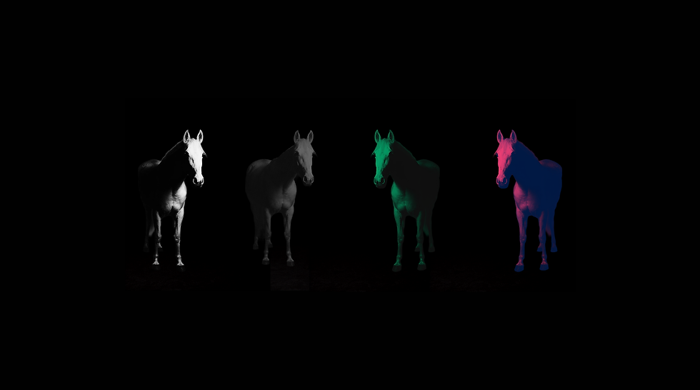 Black Horse Edit (3000 x 1340 px) (2048 x 1142 px).png