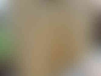 Garden shed bike store