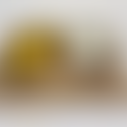 Dutch Oven Shrimp Biryani