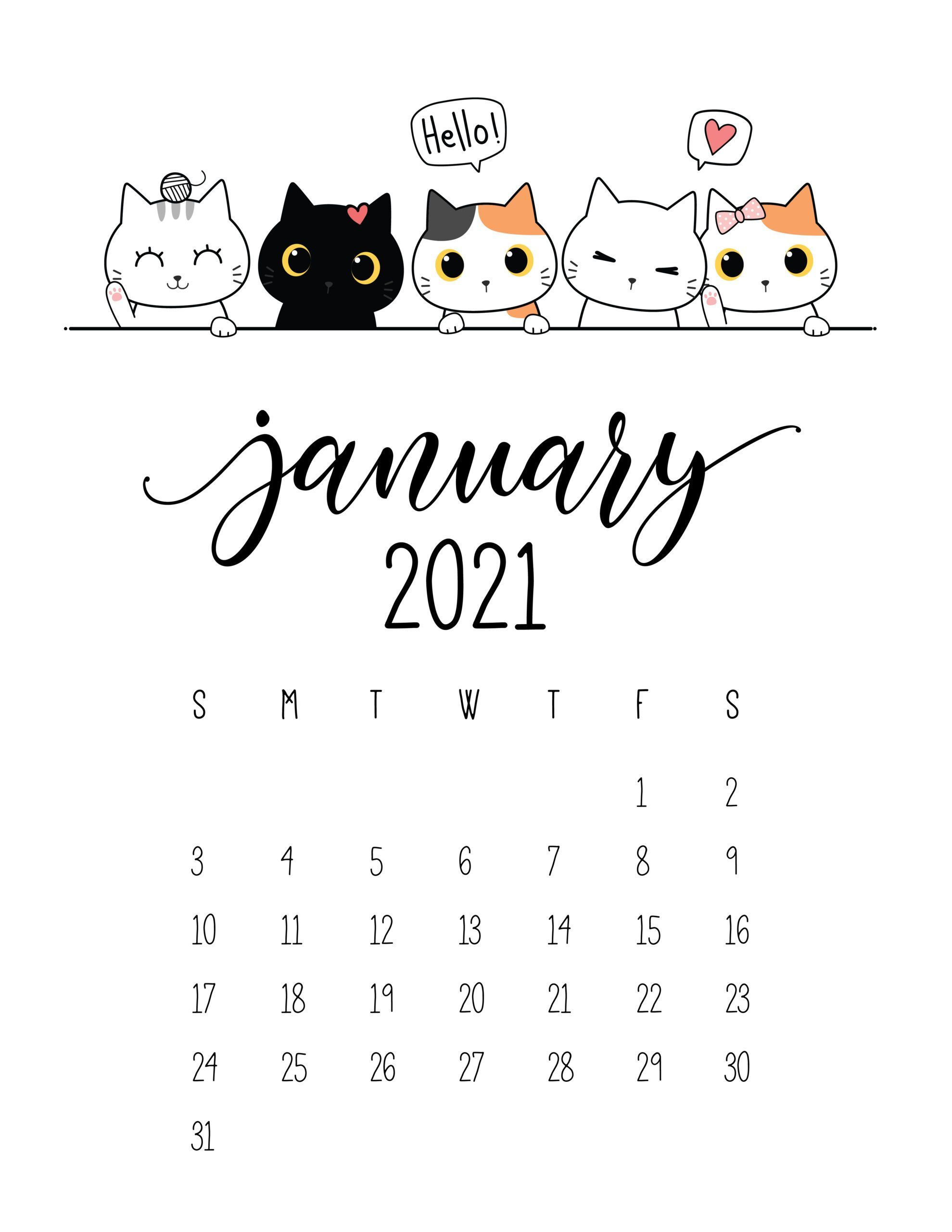 2024 Cat Calendar