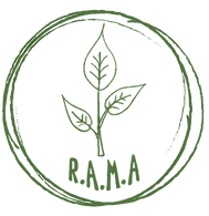 Logo fondo claro (2).png