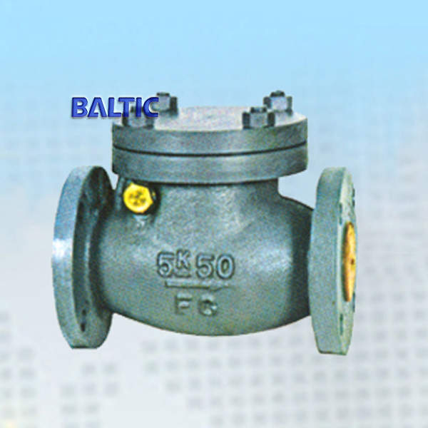 Válvula de Retención de Bola Marina de Fundición, JIS F7372 5K 50A