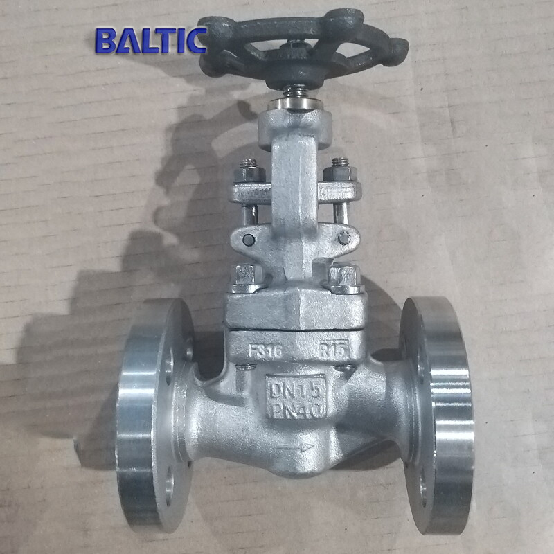 Válvula de globo DN15, ASTM A182 F316, PN40, ISO 15761, RF
