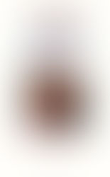 La mujer de la libreta roja