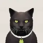 Poeta chileno. Alejandro Zambra