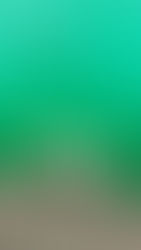 Polvo, perros y putas