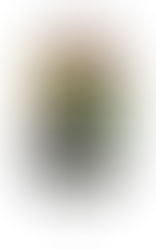 Un sábado con amigos