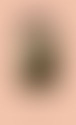 El arte de la ficción