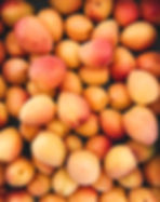 Apricots