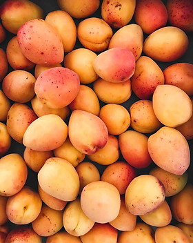 Apricots