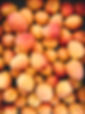 Apricots