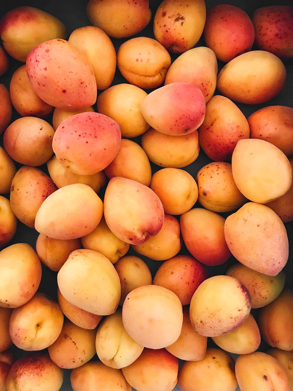 Fresh Apricots
