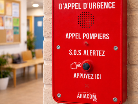Borne d'appel d'urgence norme MS70