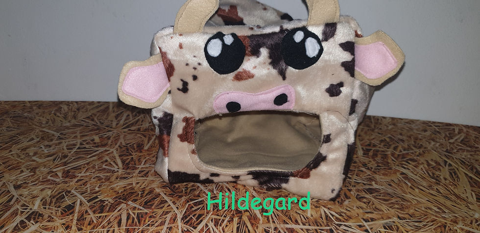 Miniaturbild: Kuschelmonster und Kuscheltiere