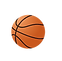 The Florida Basketball Showcase Series (