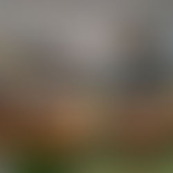 大成建設28階オフィスリニューアル【ケヤキベンチ】