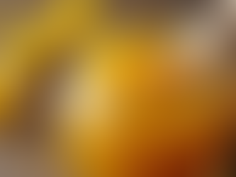 Raw Mustard Honey Cost: Price Insights and Market Overview