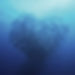 Fische_Herz_ kichigin19_adobe (002).jpeg