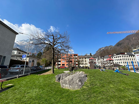 Baugenossenschaft Fridolin
