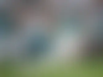 Cam Little: Jaguars' Record-Breaking Kicker