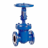 Gate Valve