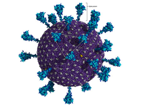 COVID‑19 in 2025: Latest Variants, Insights & Prevention