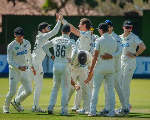 Cricket players in white uniforms celebrate on a field, high-fiving and smiling. Green scoreboard in the background with sunlight.