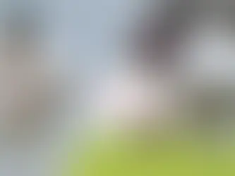West Indies vs Australia 2025: Complete Series Recap