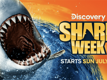 Shark Week 2025: Schedule, Hosts & How to Watch