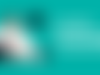 Top Web Devs for Business Growth | Hire Experts at Digital Innovation Media