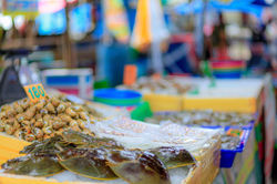 IMG_1992.jpeg