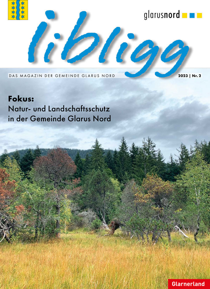 iibligg_No2_23_web-1.jpg
