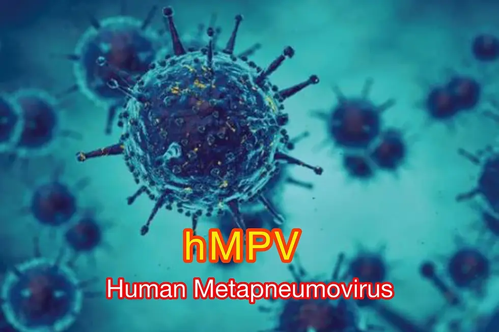 Virus particles with spiky surfaces float against a teal background. Bold yellow text reads "hMPV," with red text "Human Metapneumovirus."