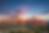 Arizona Marketing Background