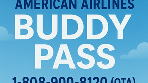 Benefits Of American Airlines Buddy Pass