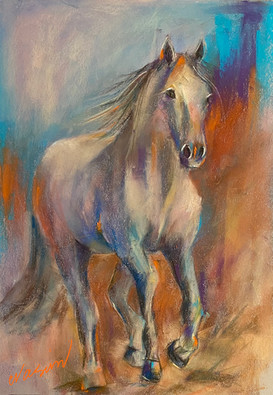 White horse