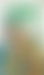 September, 1913 "Violin of the Metropolitan"