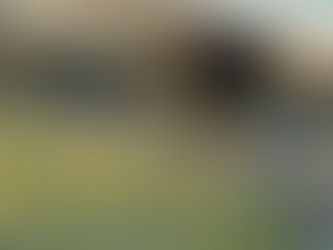 MAN LKW Unfall Ahaus - Autoverwertung Mensing