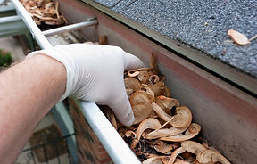 Seamless Gutters, Gutters, Leaf Guards, Gutters Orlando, Gutter Cleaning Service, Seamless Gutters Orlando, Seamless Gutters Cleaning, Gutter Cleaning Orlando, Orlando Gutter Cleaning