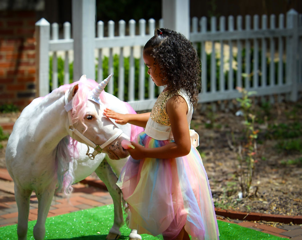 Simply Magical Ponies Pony Appearance
