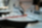 DSCF9463.jpg